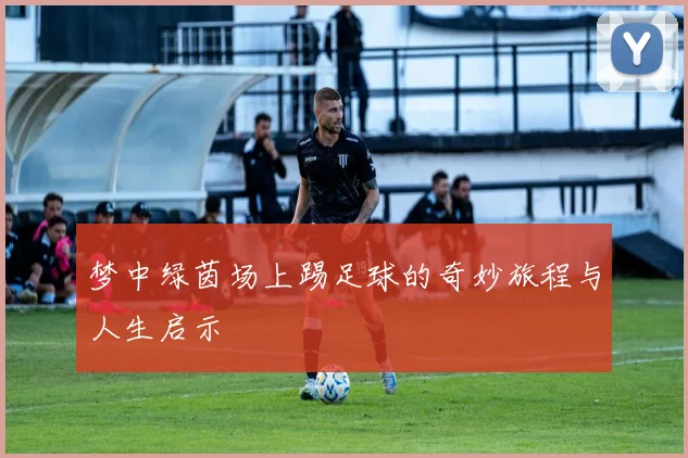 梦中绿茵场上踢足球的奇妙旅程与人生启示