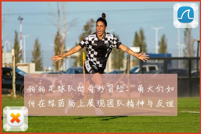 狗狗足球队的奇妙冒险：萌犬们如何在绿茵场上展现团队精神与友谊